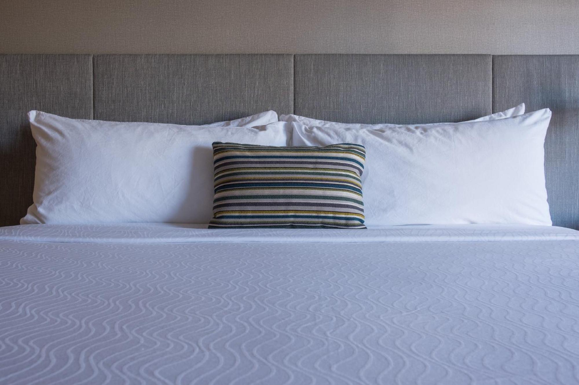 Hotel Indigo Napa Valley By Ihg Eksteriør bilde